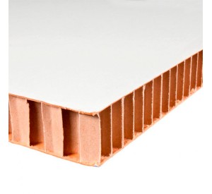 Plancha de Cartón nido de abeja