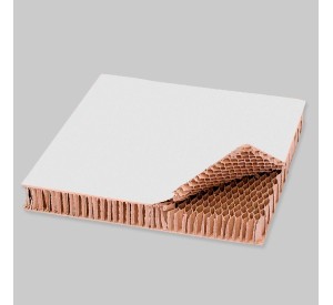Plancha de Cartón nido de abeja 2