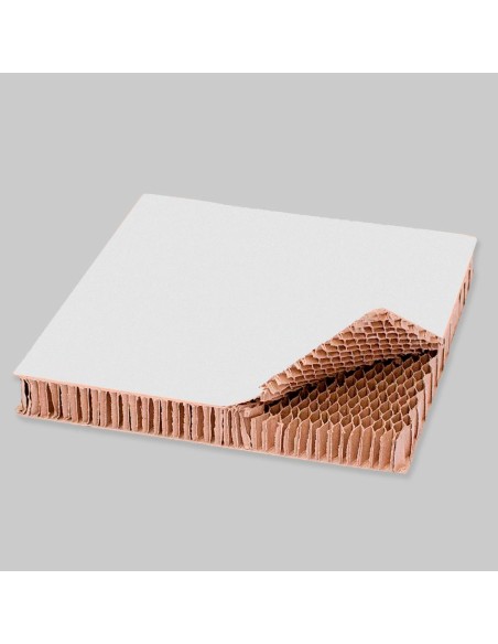 Plancha de Cartón nido de abeja