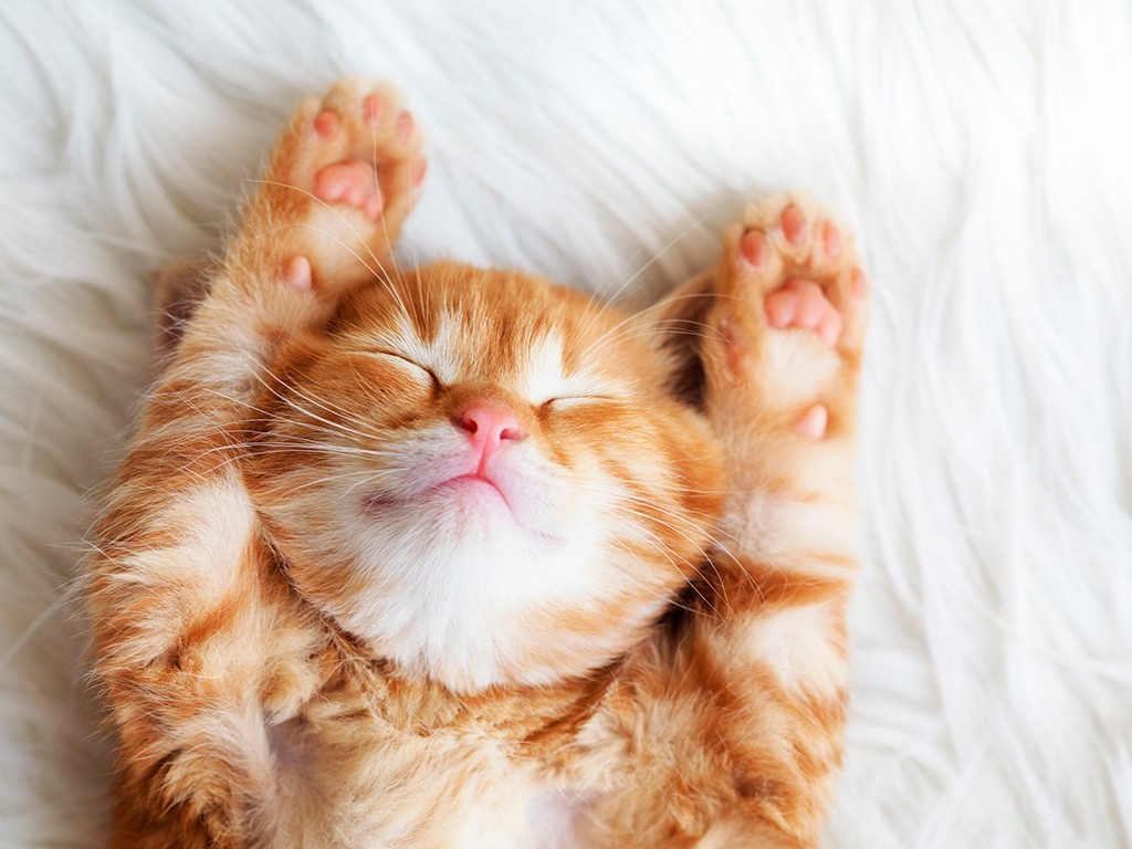 Impresión en Metacrilato. Foto Metacrilato y Cuadro Metacrilato