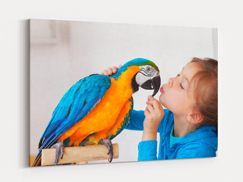 Foto Lienzo Personalizado
