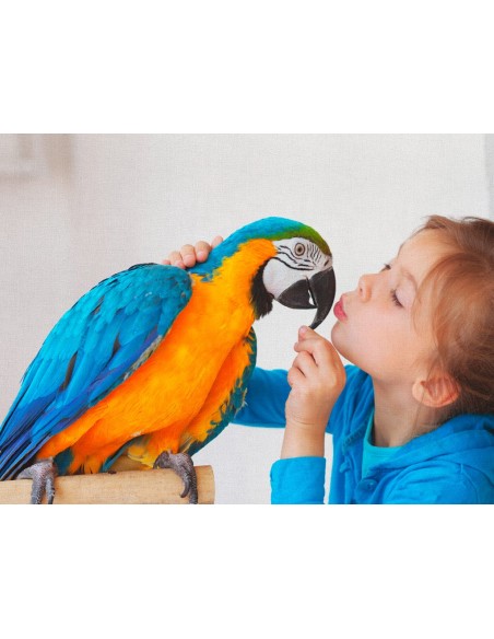 Tu Foto Lienzo Personalizado. Calidad Ultra HD al Mejor Precio