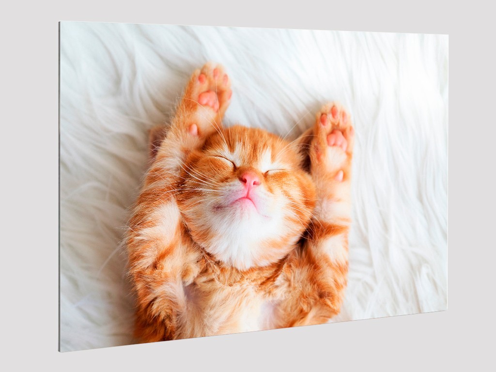 Impresión en Metacrilato. Foto Metacrilato y Cuadro Metacrilato