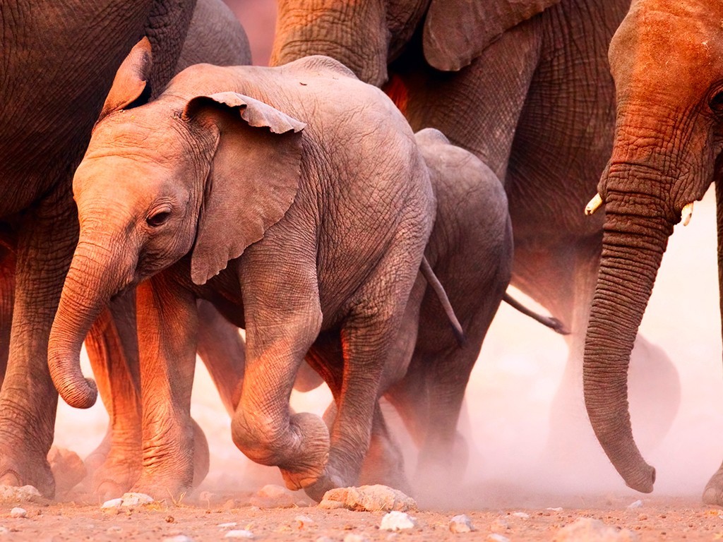 Fotos en Aluminio Cepillado Dibond. Impresión en Aluminio.