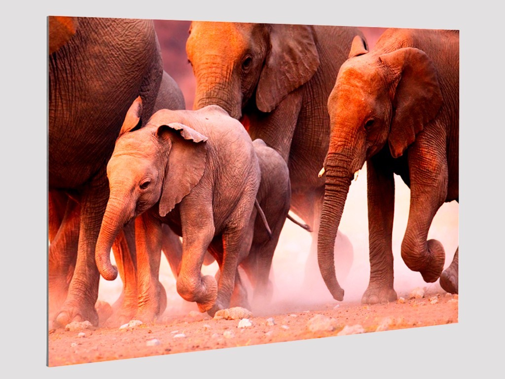 Fotos en Aluminio Cepillado Dibond. Impresión en Aluminio.