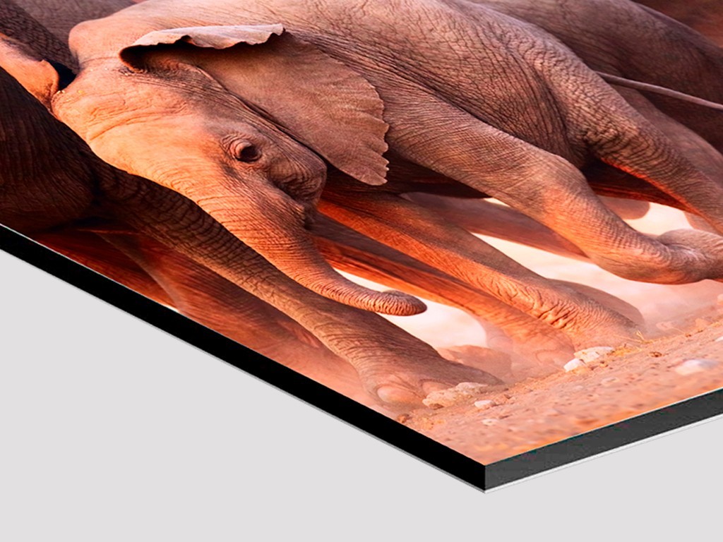 Fotos en Aluminio Cepillado Dibond. Impresión en Aluminio.